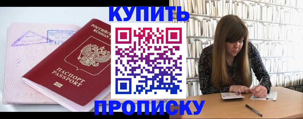пропишу в квартире в Шлиссельбурге